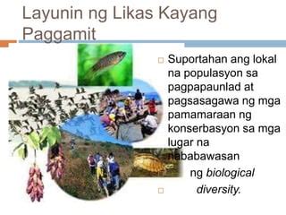 konserbasyon ng yamang likas|Wastong pagpapahalaga sa pinagkukunang yaman ng .